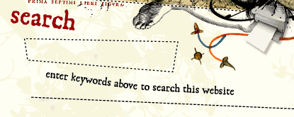 A closer look at the search field